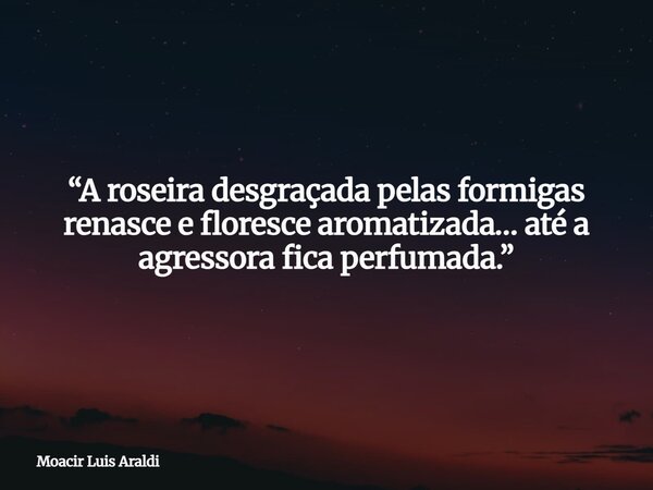 “A roseira desgraçada pelas formigas renasce e floresce aromatizada… até a agressora fica perfumada.”... Frase de Moacir Luis Araldi.