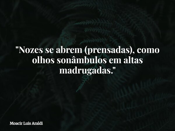 "Nozes se abrem(prensadas),como olhos sonâmbulosem altas madrugadas."... Frase de Moacir Luis Araldi.