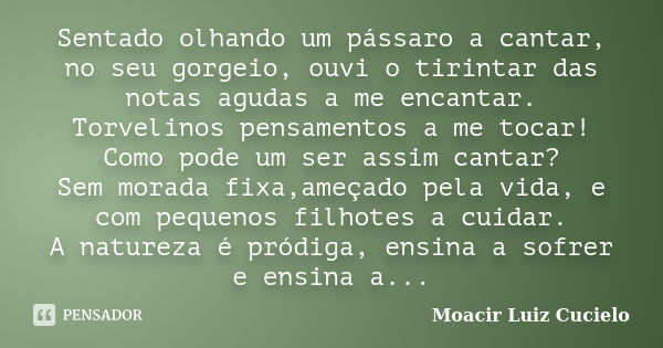 Sentado olhando um pássaro a cantar, no seu gorgeio, ouvi o tirintar das notas agudas a me encantar. Torvelinos pensamentos a me tocar! Como pode um ser assim c... Frase de Moacir Luiz Cucielo.