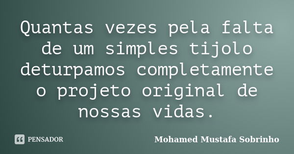 Quantas vezes pela falta de um simples tijolo deturpamos completamente o projeto original de nossas vidas.... Frase de Mohamed Mustafa Sobrinho.