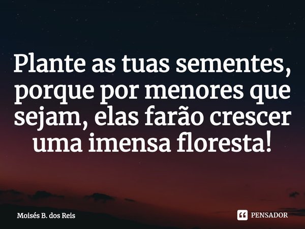 ⁠Plante as tuas sementes, porque por menores que sejam, elas farão crescer uma imensa floresta!... Frase de Moisés B. dos Reis.