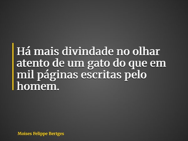Há mais divindade no olhar atento de um gato do que em mil páginas escritas pelo homem.... Frase de Moises Felippe Bertges.