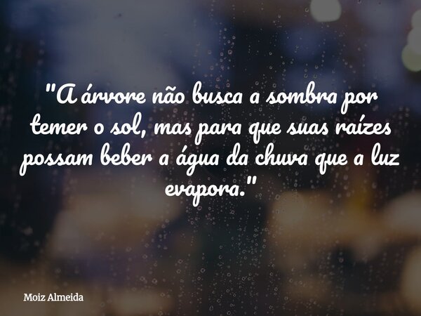 "A árvore não busca a sombra por temer o sol, mas para que suas raízes possam beber a água da chuva que a luz evapora."... Frase de Moiz Almeida.