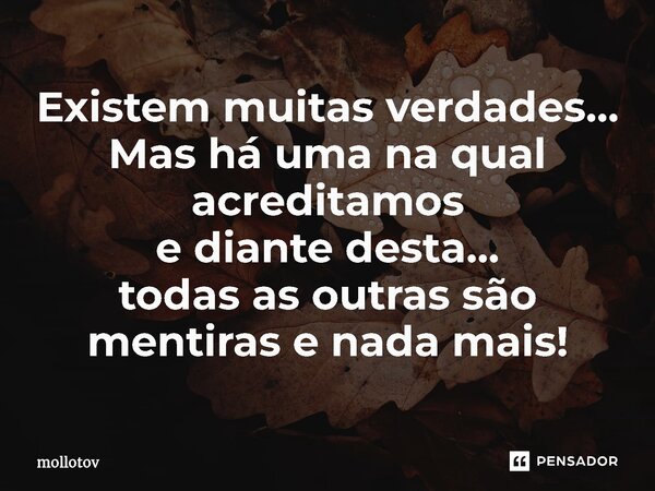 ⁠Existem muitas verdades... Mas há uma na qual acreditamos e diante desta... todas as outras são mentiras e nada mais!... Frase de mollotov.