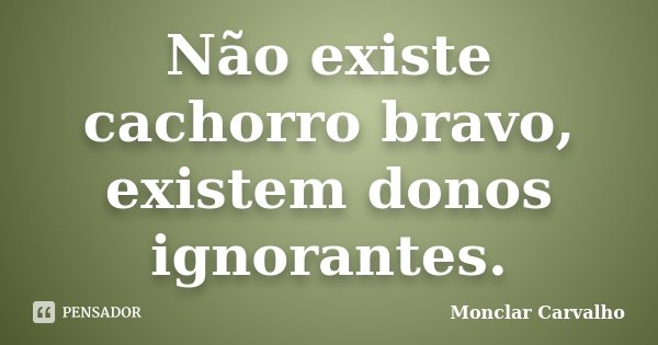 Não existe cachorro bravo, existem donos ignorantes.... Frase de Monclar Carvalho.