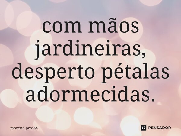 ⁠com mãos jardineiras, desperto pétalas adormecidas.... Frase de Moreno Pessoa.