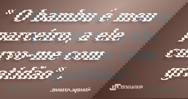 " O bambu é meu parceiro, a ele curvo-me com gratidão".... Frase de Moura aquele.
