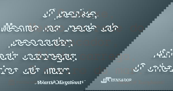 O peixe, Mesmo na rede do pescador, Ainda carrega, O cheiro do mar.... Frase de Mourid Barghouti.