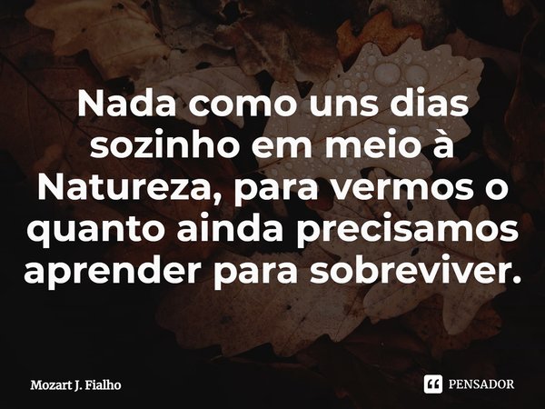 ⁠Nada como uns dias sozinho em meio à Natureza, para vermos o quanto ainda precisamos aprender para sobreviver.... Frase de Mozart J. Fialho.