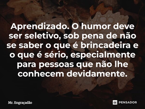 ⁠Aprendizado. O humor deve ser seletivo, sob pena de não se saber o que é brincadeira e o que é sério, especialmente para pessoas que não lhe conhecem devidamen... Frase de Mr. Engraçadão.