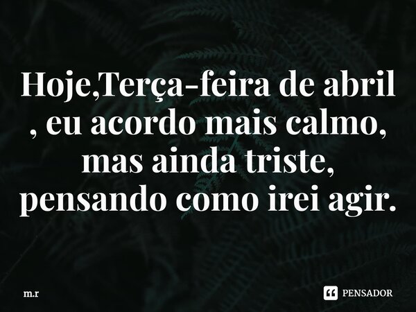 ⁠Hoje,Terça-feira de abril , eu acordo mais calmo, mas ainda triste, pensando como irei agir.... Frase de m.r.