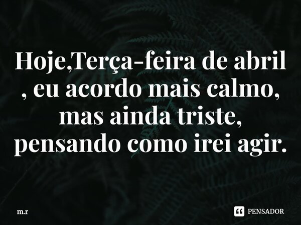 ⁠Hoje,Terça-feira de abril , eu acordo mais calmo, mas ainda triste, pensando como irei agir.... Frase de m.r.