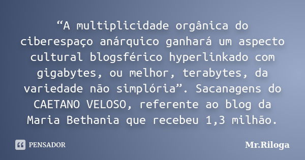 “A multiplicidade orgânica do ciberespaço anárquico ganhará um aspecto cultural blogsférico hyperlinkado com gigabytes, ou melhor, terabytes, da variedade não s... Frase de Mr.Riloga.