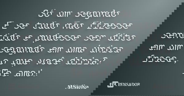 Só um segundo E se tudo não fizesse sentido e pudesse ser dito em um segundo em uma única frase, o que você diria? Te amo!... Frase de MSsilva.