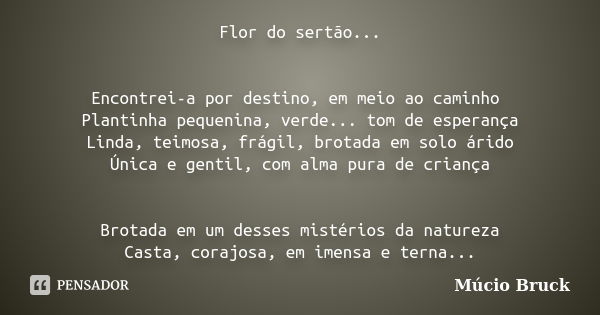 Flor do sertão... Encontrei-a por destino, em meio ao caminho Plantinha pequenina, verde... tom de esperança Linda, teimosa, frágil, brotada em solo árido Única... Frase de Múcio Bruck.