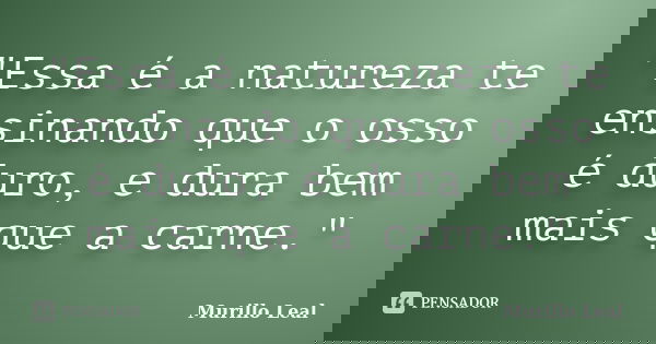 "Essa é a natureza te ensinando que o osso é duro, e dura bem mais que a carne."... Frase de Murillo Leal.