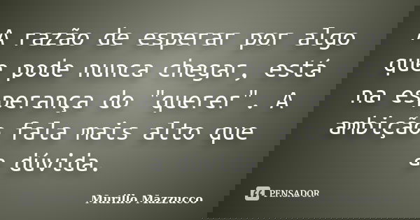 A razão de esperar por algo que pode nunca chegar, está na esperança do "querer". A ambição fala mais alto que a dúvida.... Frase de Murillo Mazzucco.