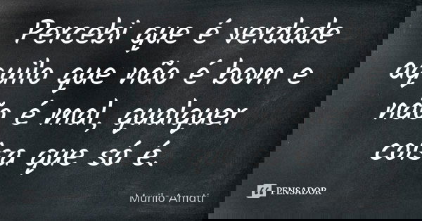 Percebi que é verdade aquilo que não é bom e não é mal, qualquer coisa que só é.... Frase de Murilo Amati.