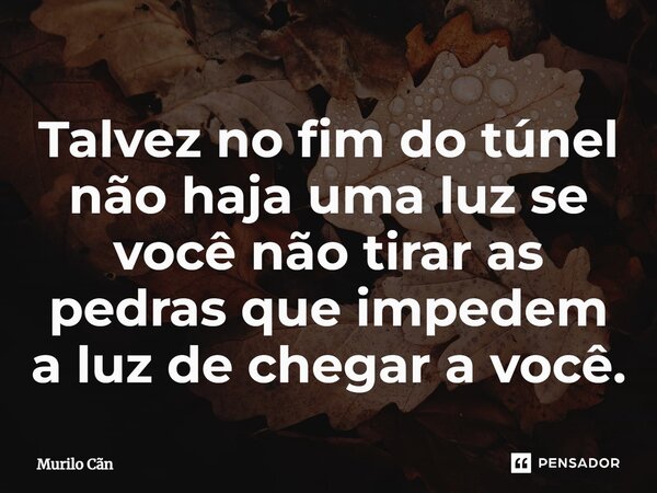 ⁠Talvez no fim do túnel não haja uma luz se você não tirar as pedras que impedem a luz de chegar a você.... Frase de Murilo Cãn.