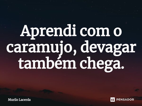 ⁠Aprendi com o caramujo, devagar também chega.... Frase de Murilo Lacerda.