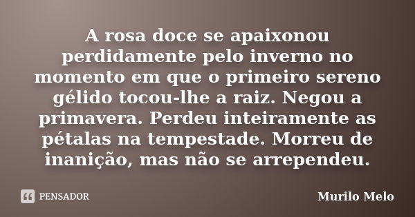 A rosa doce se apaixonou perdidamente pelo inverno no momento em que o primeiro sereno gélido tocou-lhe a raiz. Negou a primavera. Perdeu inteiramente as pétala... Frase de Murilo Melo.