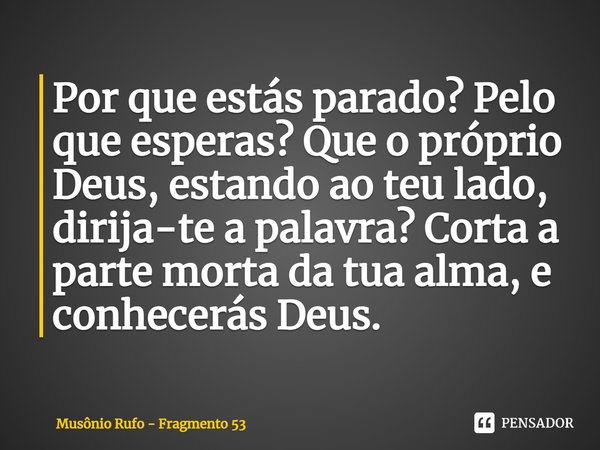 ⁠Por que estás parado? Pelo que esperas? Que o próprio Deus, estando ao teu lado, dirija-te a palavra? Corta a parte morta da tua alma, e conhecerás Deus.... Frase de Musônio Rufo - Fragmento 53.