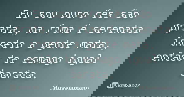 Eu sou ouro cês são prata, na rima é serenata inseto a gente mata, então te esmago igual barata.... Frase de Mussoumano.