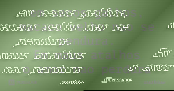 em secos galhos, macaco velho nao se pendura. Em maus atalhos o amor nao perdura... Frase de muthine.