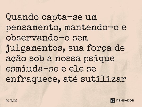 ⁠Quando capta-se um pensamento, mantendo-o e observando-o sem julgamentos, sua força de ação sob a nossa psique esmiuda-se e ele se enfraquece, até sutilizar... Frase de M. Wild.