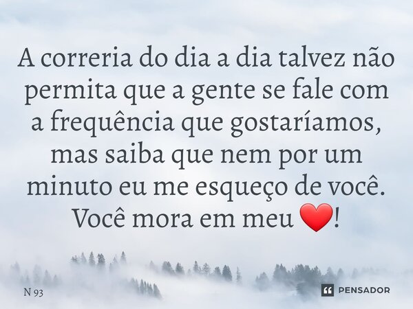 ⁠A correria do dia a dia talvez não permita que a gente se fale com a frequência que gostaríamos, mas saiba que nem por um minuto eu me esqueço de você. Você mo... Frase de N 93.