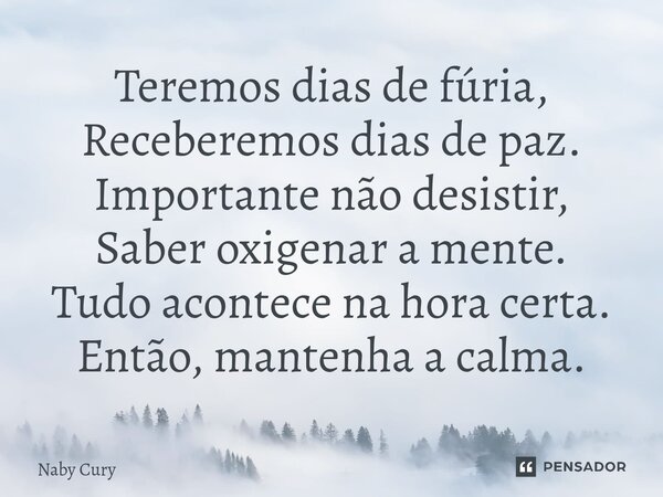 ⁠Teremos dias de fúria, Receberemos dias de paz. Importante não desistir, Saber oxigenar a mente. Tudo acontece na hora certa. Então, mantenha a calma.... Frase de Naby Cury.