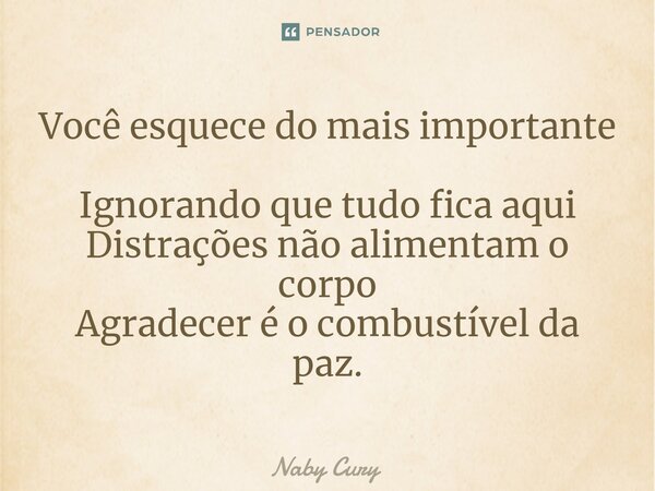 ⁠Você esquece do mais importante Ignorando que tudo fica aqui Distrações não alimentam o corpo Agradecer é o combustível da paz.... Frase de Naby Cury.