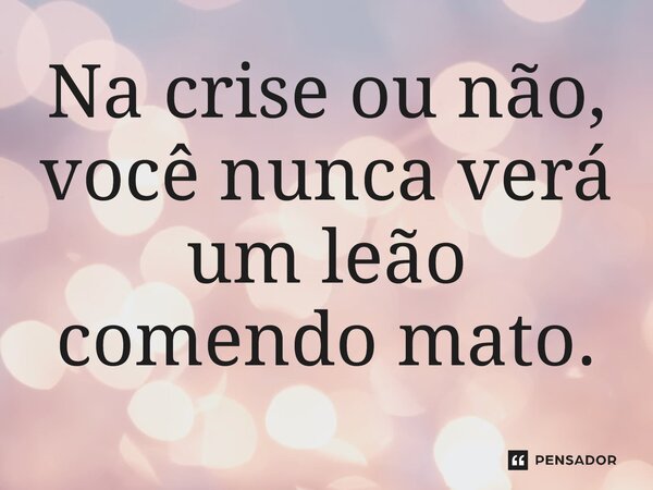 ⁠Na crise ou não, você nunca verá um leão comendo mato.
