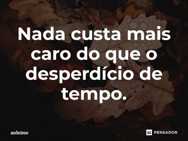 ⁠Nada custa mais caro do que o desperdício de tempo.... Frase de Anônimo.