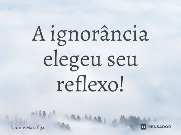 ⁠A ignorância elegeu seu reflexo!... Frase de Nadine Marafiga.