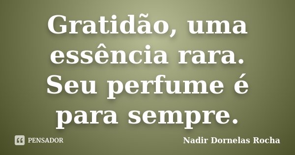 Gratidão, uma essência rara. Seu perfume é para sempre.... Frase de Nadir Dornelas Rocha.