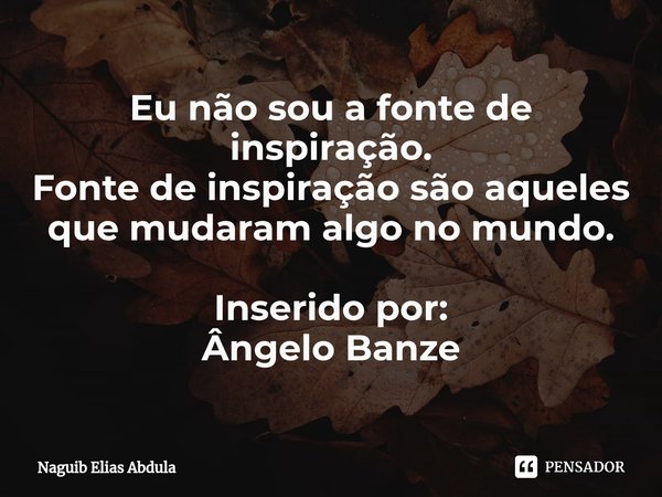 ⁠Eu não sou a fonte de inspiração. Fonte de inspiração são aqueles que mudaram algo no mundo.... Frase de Naguib Elias Abdula.