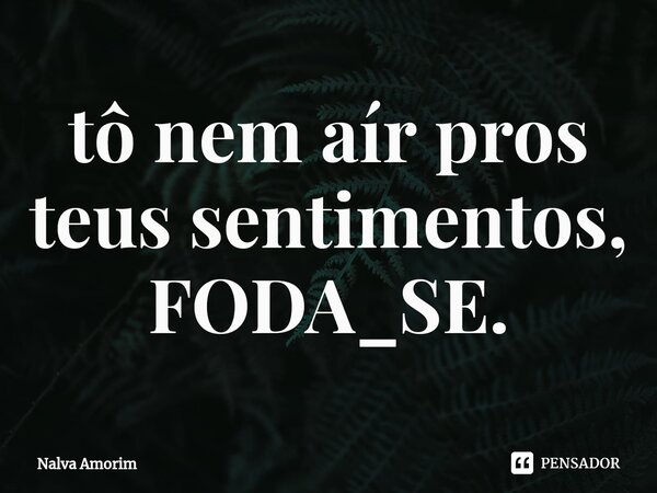 ⁠tô nem aír pros teus sentimentos, FODA_SE.... Frase de Nalva Amorim.