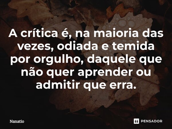 ⁠A crítica é, na maioria das vezes, odiada e temida por orgulho, daquele que não quer aprender ou admitir que erra.... Frase de Nanatio.