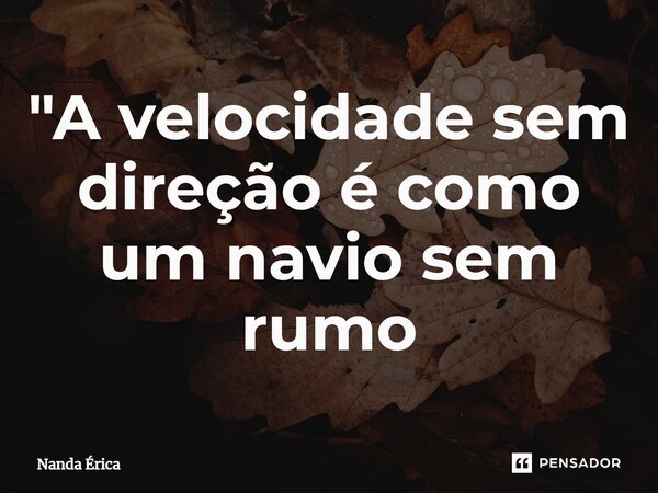 ⁠"A velocidade sem direção é como um navio sem rumo... Frase de Nanda Erica.