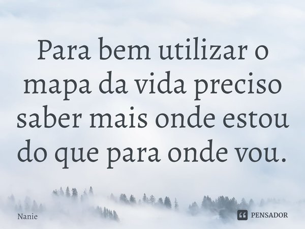 ⁠Para bem utilizar o mapa da vida preciso saber mais onde estou do que para onde vou.... Frase de Nanie.