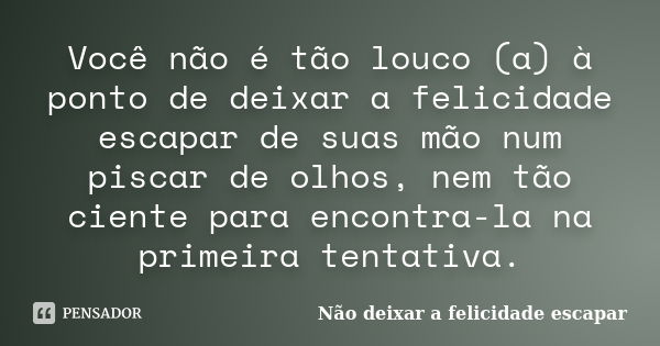 Você não é tão louco (a) à ponto de deixar a felicidade escapar de suas mão num piscar de olhos, nem tão ciente para encontra-la na primeira tentativa.... Frase de Não deixar a felicidade escapar.