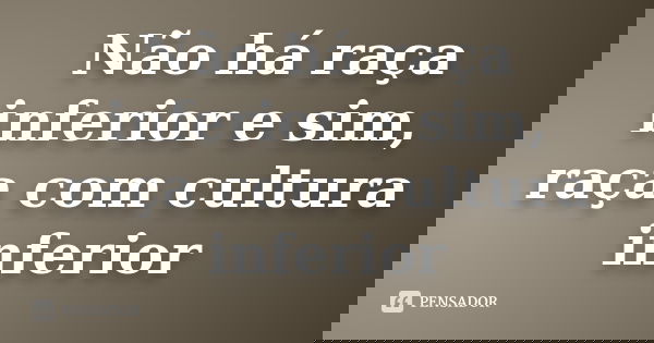 Não há raça inferior e sim, raça com cultura inferior