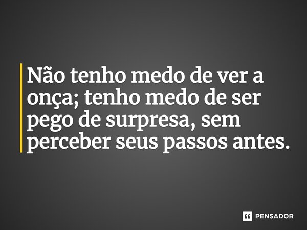 ⁠Não tenho medo de ver a onça; tenho medo de ser pego de surpresa, sem perceber seus passos antes.