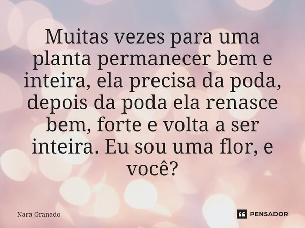 ⁠Muitas vezes para uma planta permanecer bem e inteira, ela precisa da poda, depois da poda ela renasce bem, forte e volta a ser inteira. Eu sou uma flor, e voc... Frase de Nara Granado.