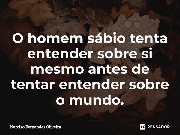 O homem sábio tenta entender sobre si mesmo antes de tentar entender sobre o mundo.⁠... Frase de Narciso Fernandes Oliveira.