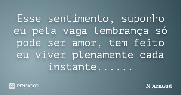 Esse sentimento, suponho eu pela vaga lembrança só pode ser amor, tem feito eu viver plenamente cada instante......... Frase de N Arnaud.