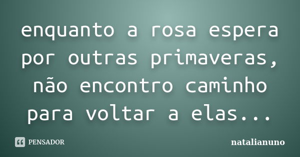 enquanto a rosa espera por outras primaveras, não encontro caminho para voltar a elas...... Frase de natalianuno.