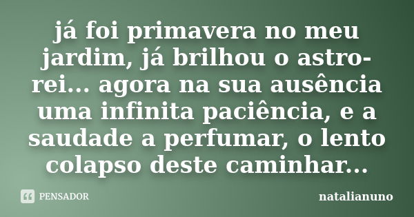 já foi primavera no meu jardim, já brilhou o astro-rei... agora na sua ausência uma infinita paciência, e a saudade a perfumar, o lento colapso deste caminhar..... Frase de natalianuno.