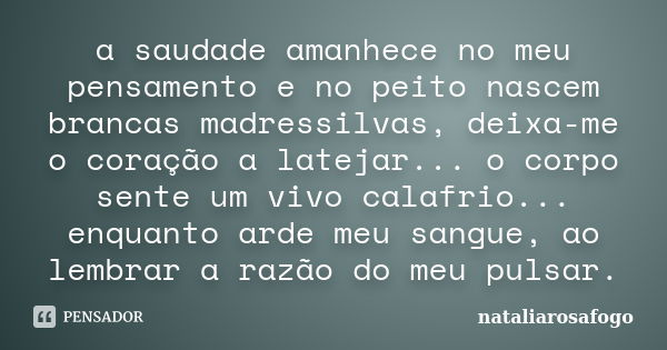 a saudade amanhece no meu pensamento e no peito nascem brancas madressilvas, deixa-me o coração a latejar... o corpo sente um vivo calafrio... enquanto arde meu... Frase de nataliarosafogo.